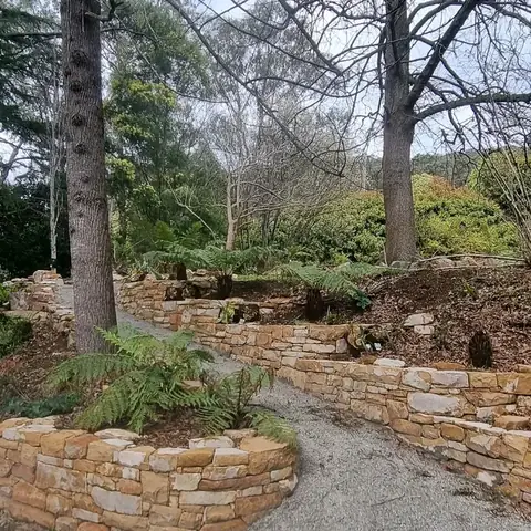 Terraced sandstone retaining walls with ferns and garden plants